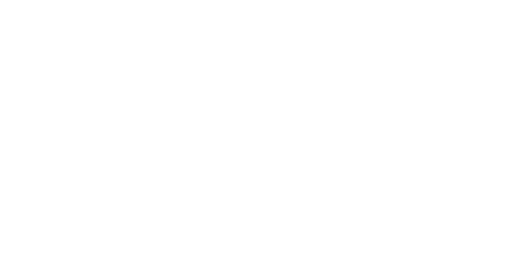 SkinShop logo