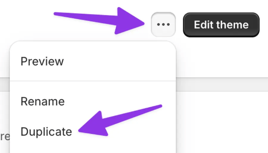 Theme menu showing Duplicate option