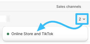 shopify sales channels