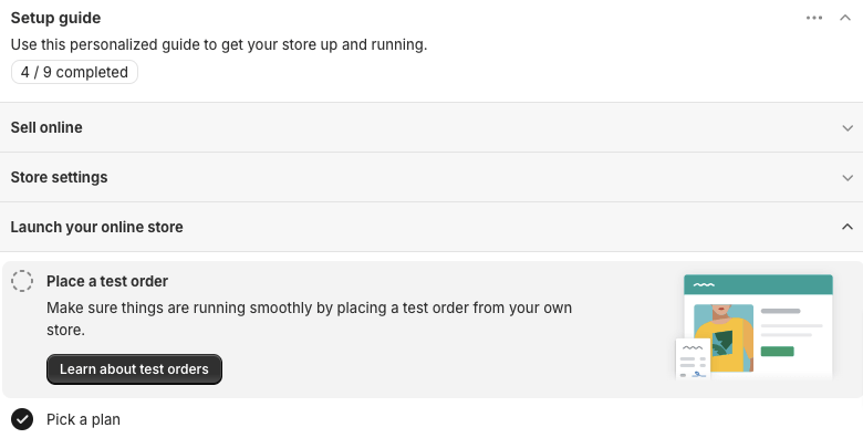 Launch Shopify store