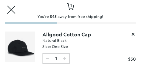 Allbirds free shipping example